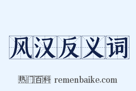 风汉反义词是什么意思的图片